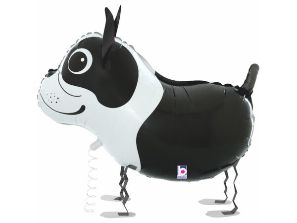 Walking balloon «BOSTON TERRIER»