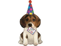 Kutsikas «Happy Birthday!»