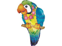 Papagoi