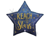 Star «Reach for the stars»