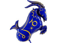 Zodiac Capricorn, blue