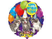 kassid-muusikaga. Фольгированный шар «HAPPY BIRTHDAY TO MEW», с музыкой