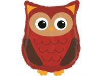 kull-GR-35173-P Foil balloon «OWL»